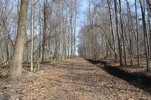 Property photo 105 - REAL ESTATE & PERSONAL PROPERTY AUCTION, 140 Acres offered in 8 Tracts or Combinations in Steuben County